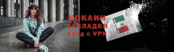 дживик Алзамай
